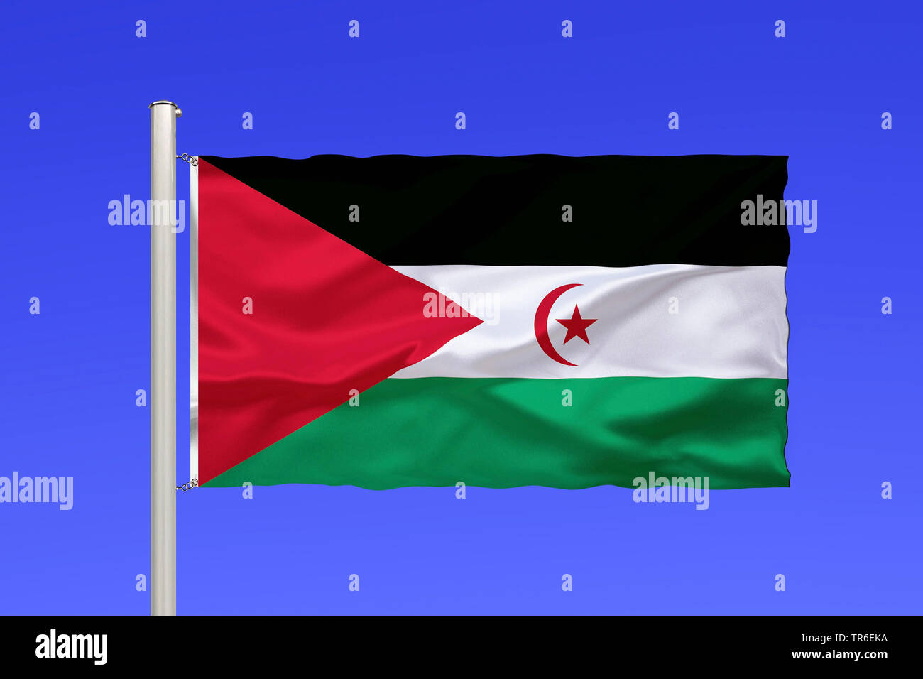 Drapeau du Sahara occidental contre le ciel bleu, au Sahara Occidental Banque D'Images