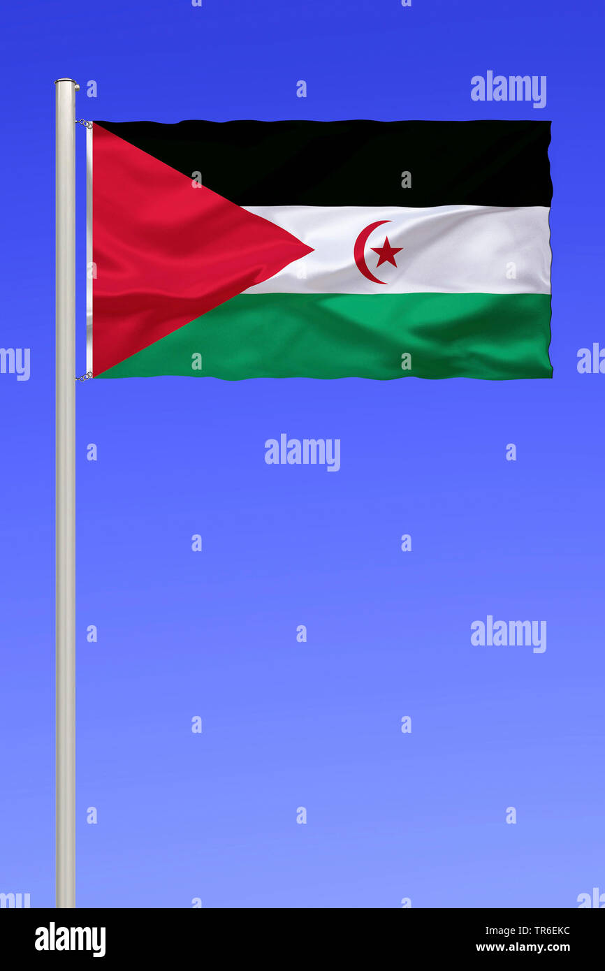 Drapeau du Sahara occidental contre le ciel bleu, au Sahara Occidental Banque D'Images