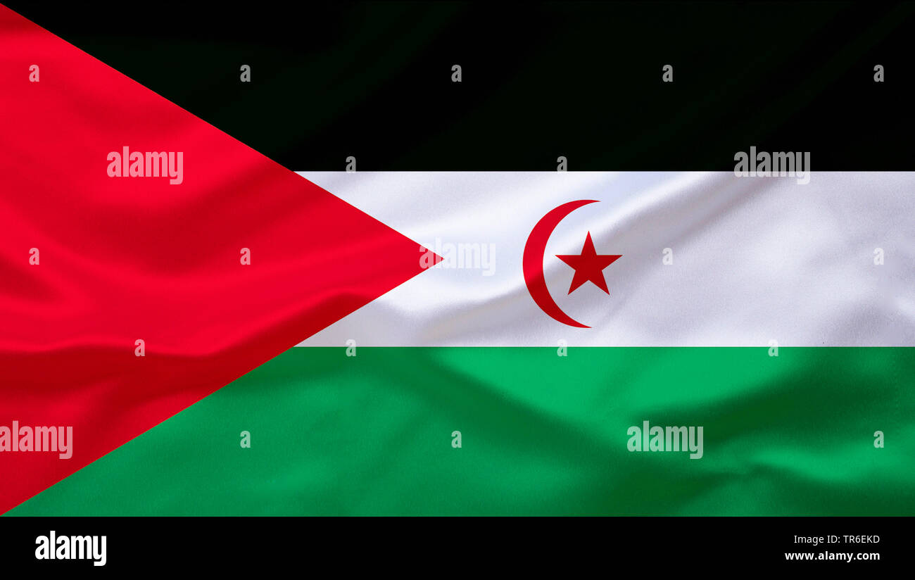 Drapeau du Sahara occidental contre le ciel bleu, au Sahara Occidental Banque D'Images