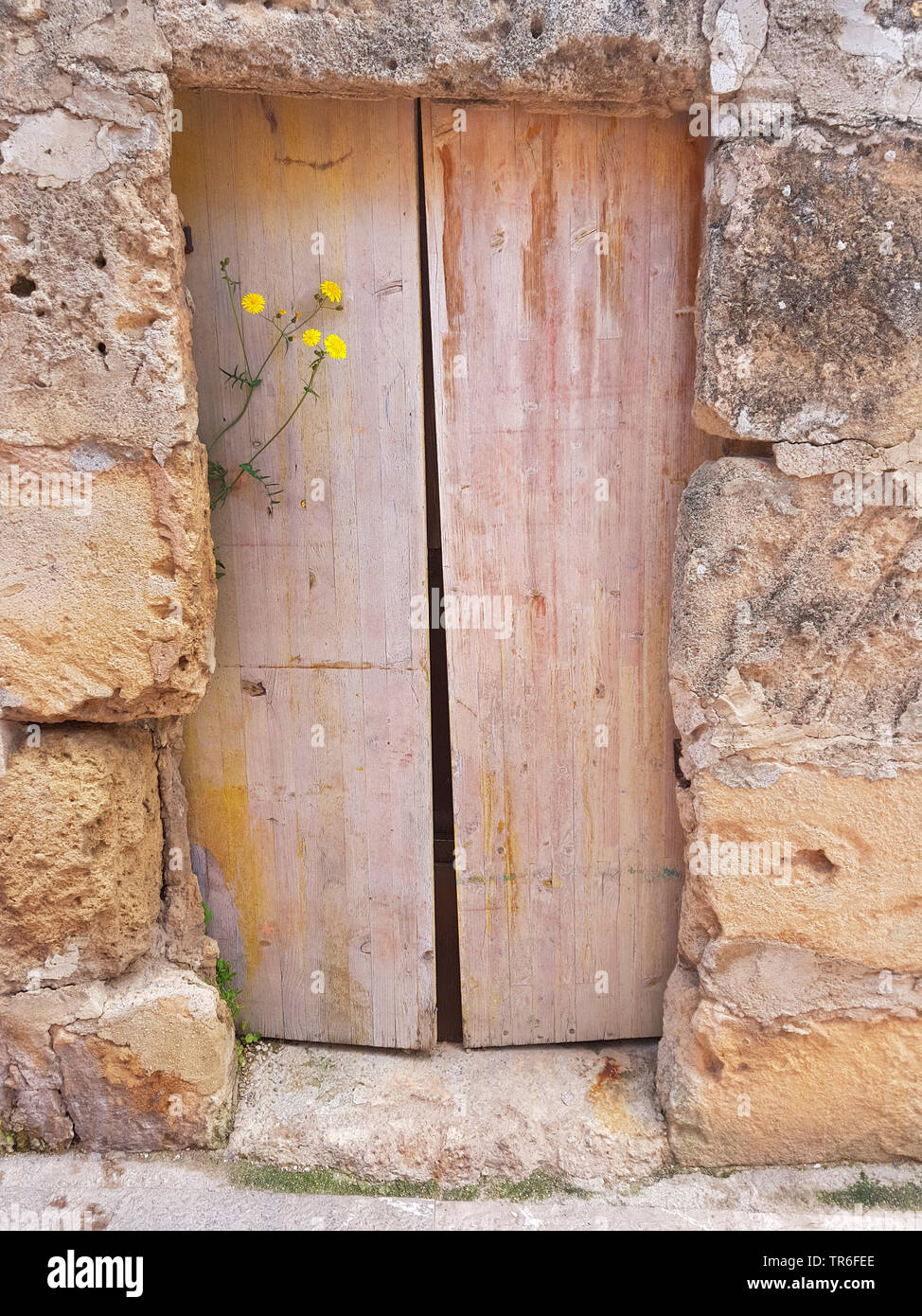 La porte en bois dans une maison en pierre de fleurs de chardon, Espagne, Îles Baléares, Majorque Banque D'Images