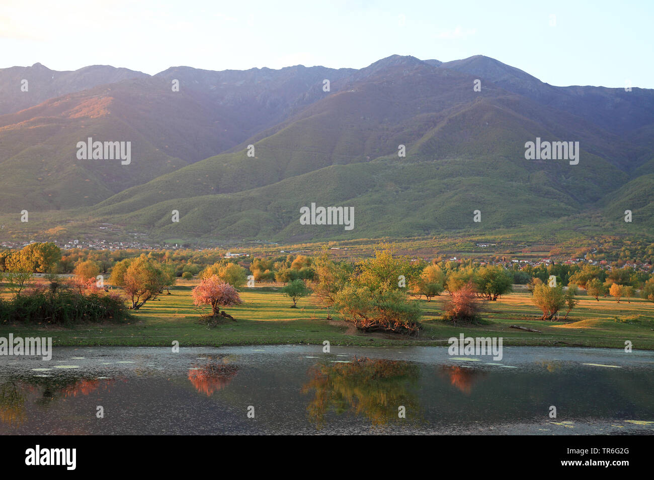 Lake Kerkini, Strymon El Capistan Dtape riverside forest, Grèce, Serres, Lake Kerkini Banque D'Images