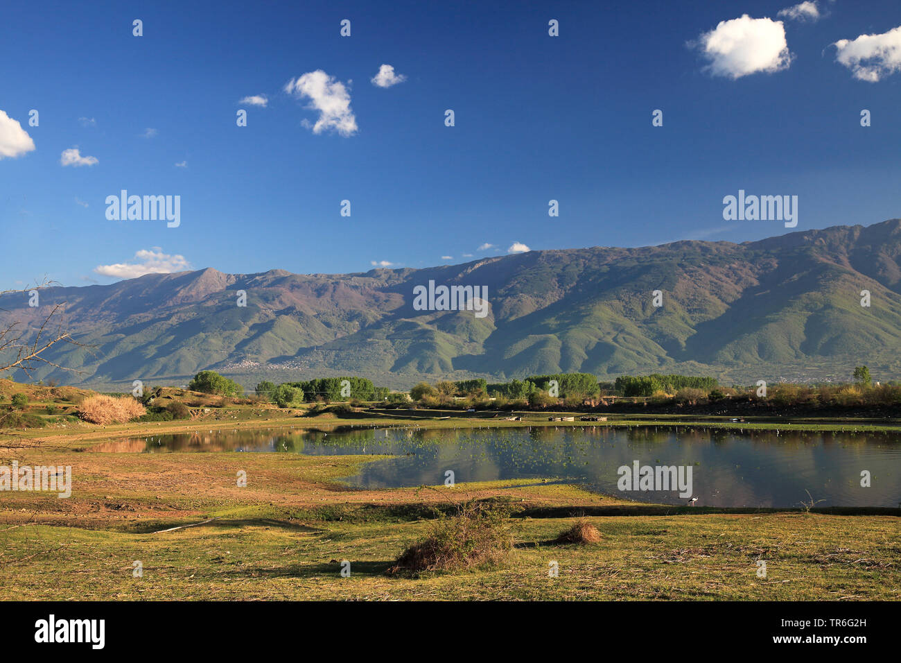 Lake Kerkini, Cisjordanie, Grèce, Serres, Lake Kerkini Banque D'Images