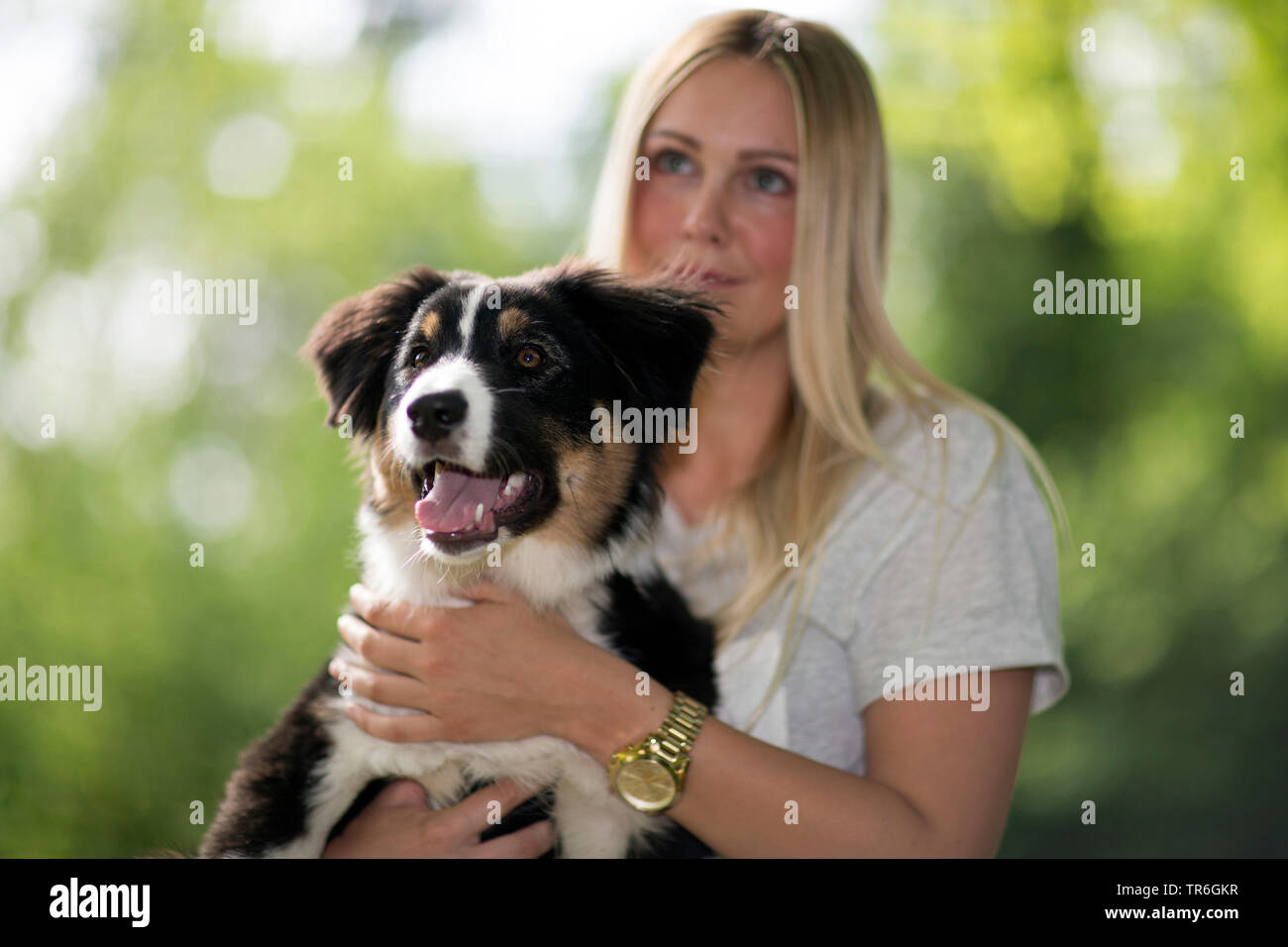 Berger Australien (Canis lupus f. familiaris), jeune femme blonde tenant un chiot sur bras, Allemagne Banque D'Images