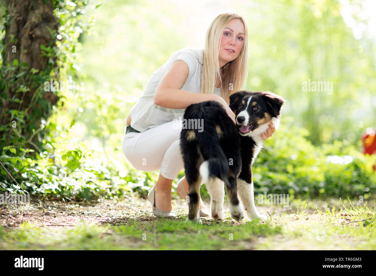 Berger Australien (Canis lupus f. familiaris), mettent bas avec une jeune femme sur un chemin forestier, Allemagne Banque D'Images