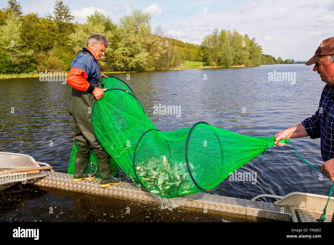 Nasse de pêche dans un lac, de l'Allemagne, de Bavière, Brombachspeichersee  Photo Stock - Alamy