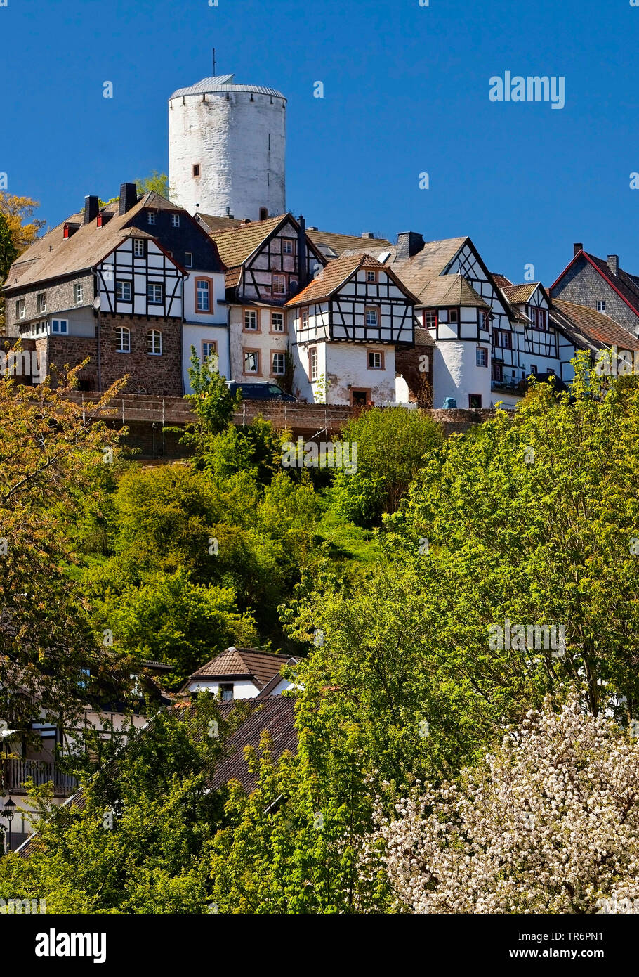 Maisons à colombages et le château de Reifferscheid, Allemagne, Rhénanie-Palatinat, Eifel, Reifferscheid Banque D'Images