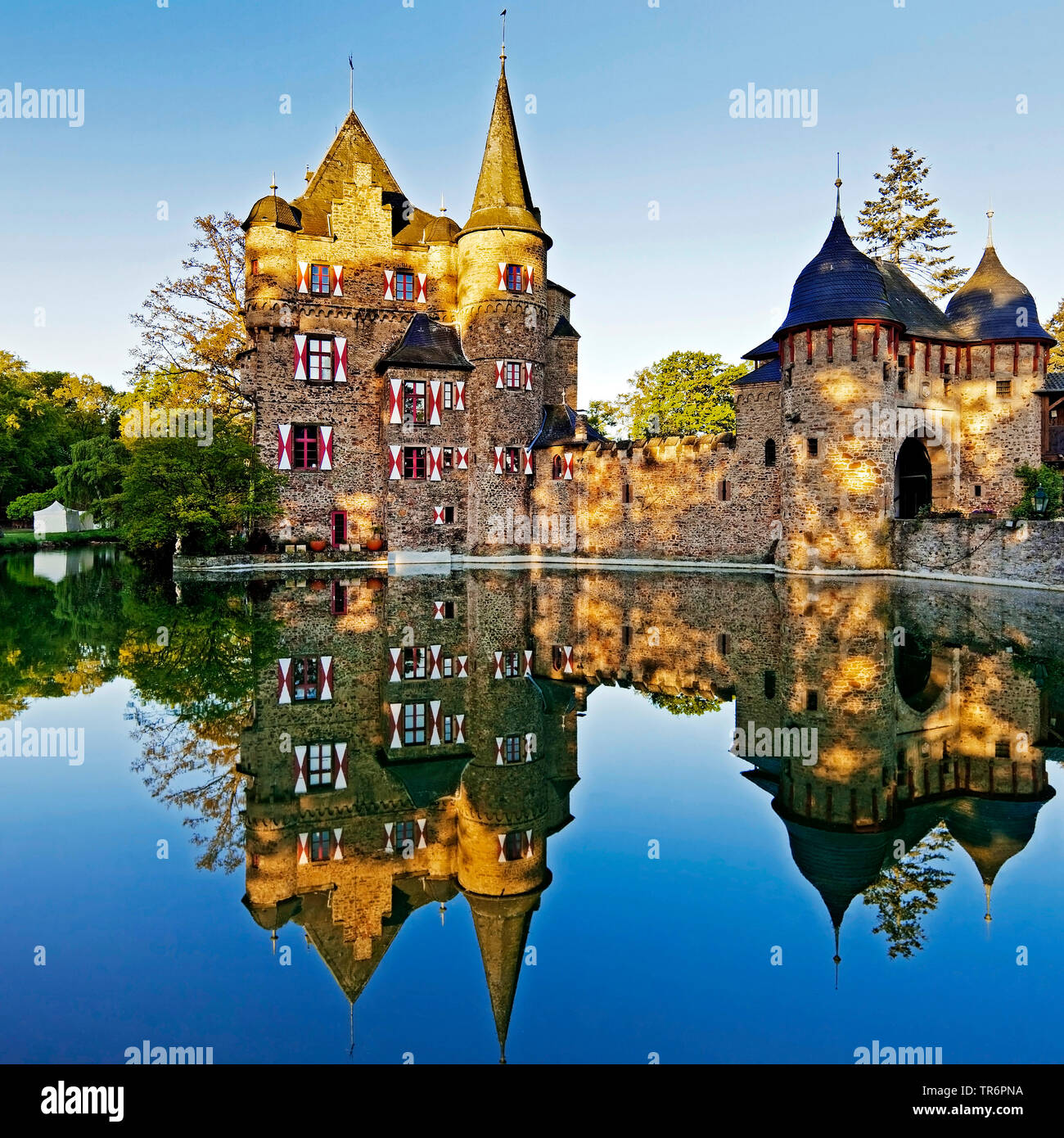 Château de Satzvey avec de l'eau d'un fossé, d'Allemagne, en Rhénanie du Nord-Westphalie, Eifel, Mechernich Banque D'Images