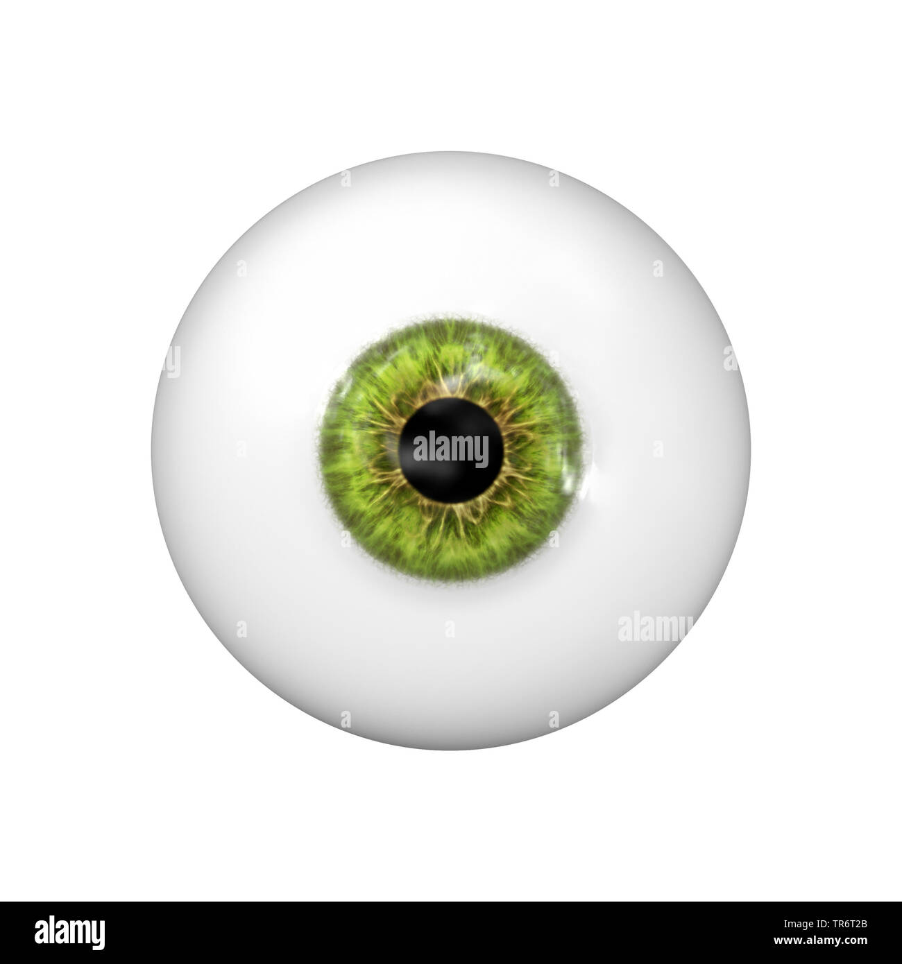 Les gens, les êtres humains, les humains (Homo sapiens sapiens), green eye ball with clipping path Banque D'Images