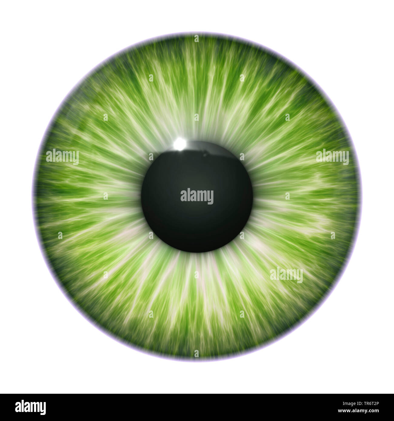 Les gens, les êtres humains, les humains (Homo sapiens sapiens), green eye ball with clipping path Banque D'Images