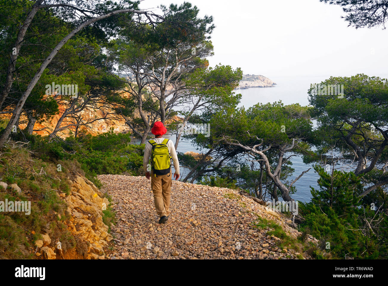 Sentier le long de la côte rocheuse entre Marseille et Toulon, France, La Seyne-sur-Mer Banque D'Images