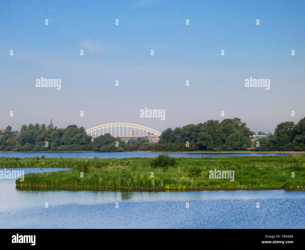 Waalbrug à Ooijpolder au printemps, Pays-Bas, Gueldre, Ooijpolder Banque D'Images