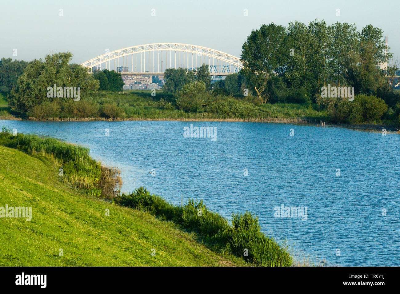 Waalbrug à Ooijpolder au printemps avec de l'eau en premier plan, Pays-Bas, Gueldre, Ooijpolder Banque D'Images