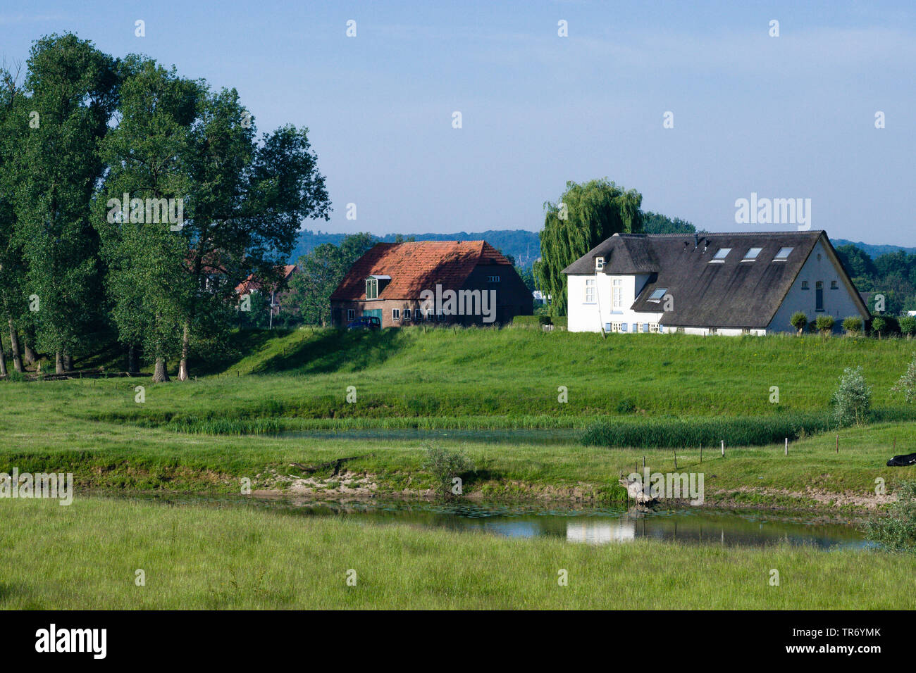 Maisons à Ooijpolder au printemps, Pays-Bas, Gueldre, Ooijpolder Banque D'Images