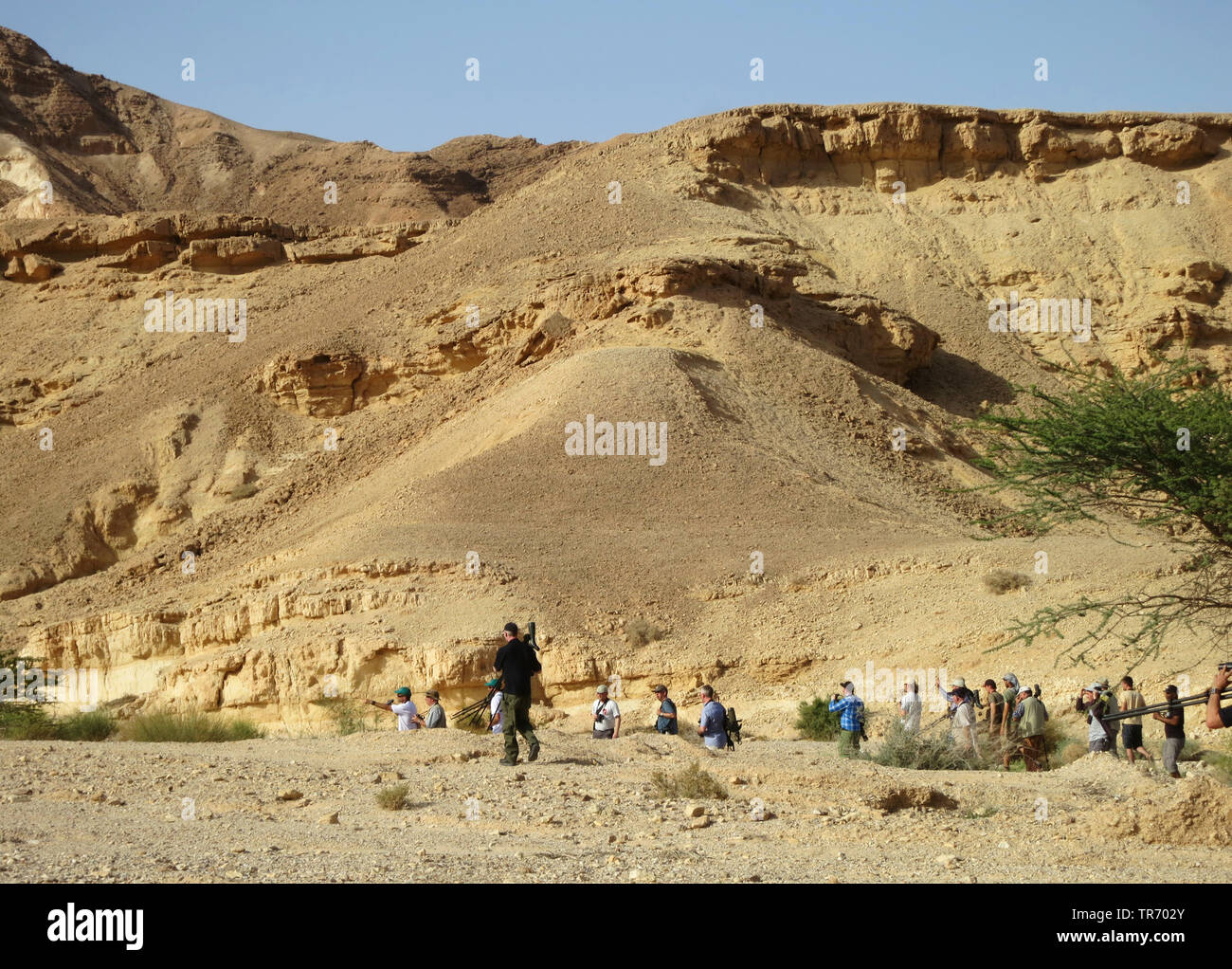 Les ornithologues dans un oued au nord d'Eilat, Israël Banque D'Images