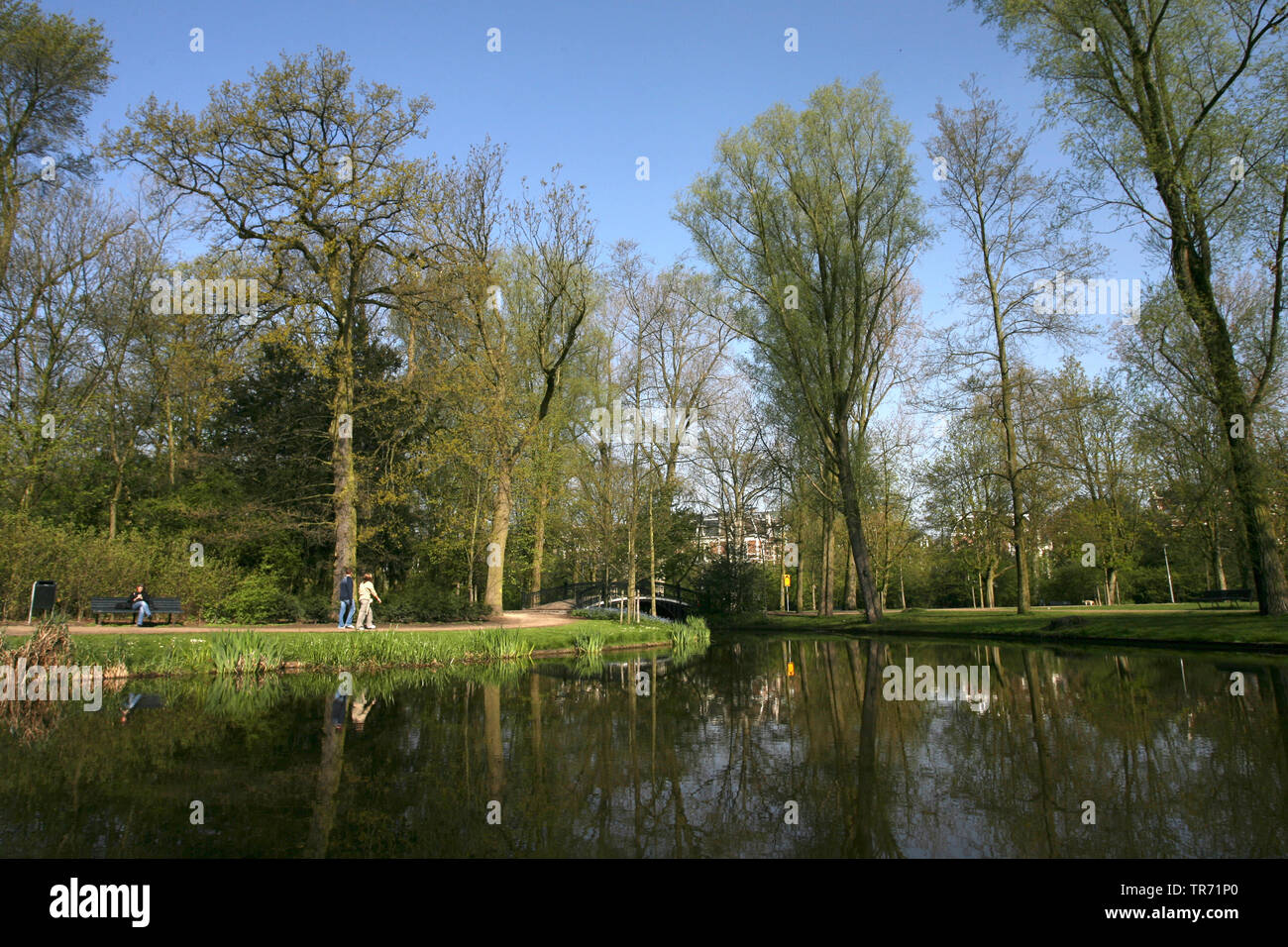 Printemps dans le Vondelpark Amsterdam, Pays-Bas Banque D'Images