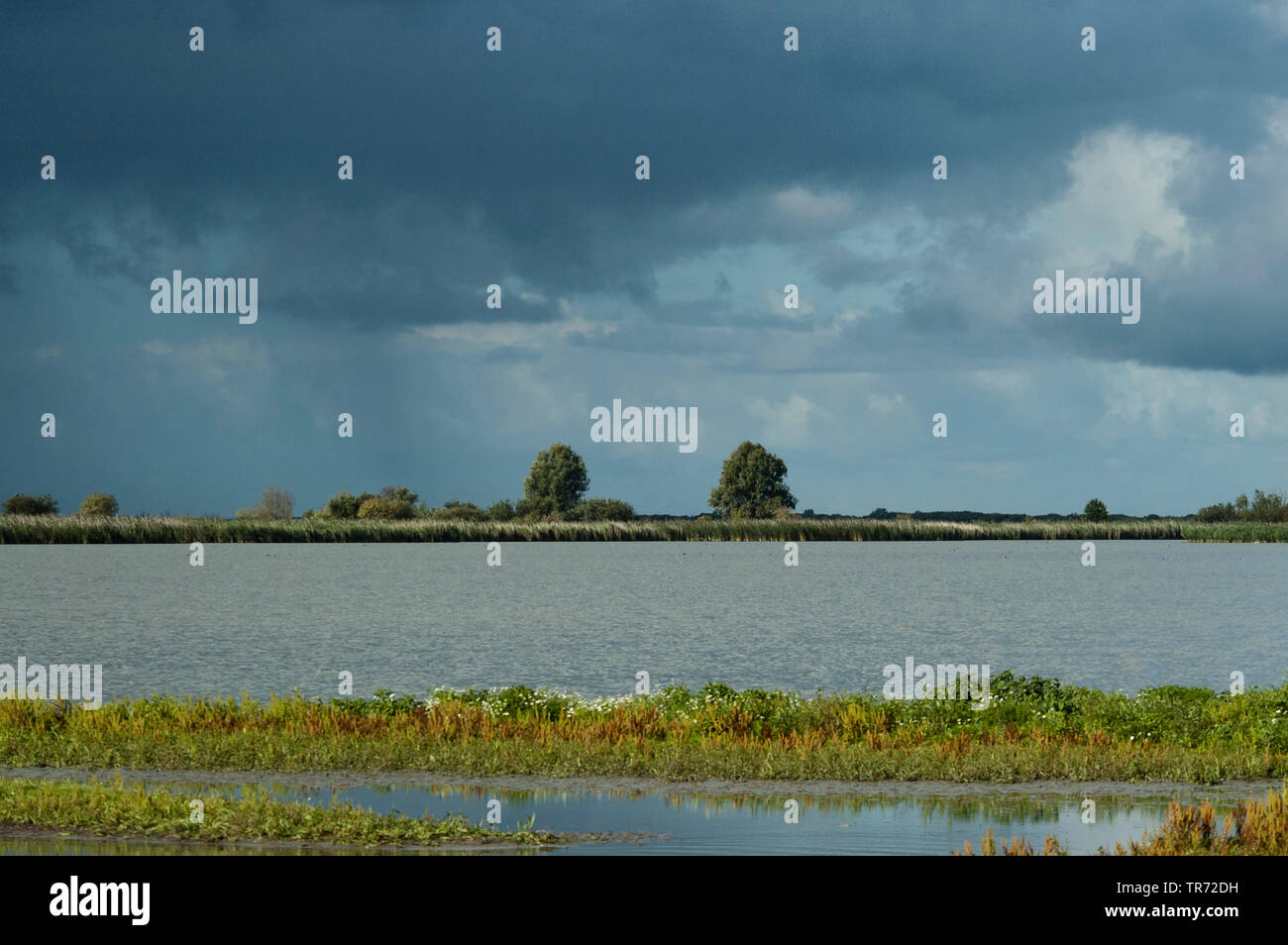 Ciel nuageux sombre sur le lac, Pays-Bas, Flevoland, Oostvaardersplassen Banque D'Images