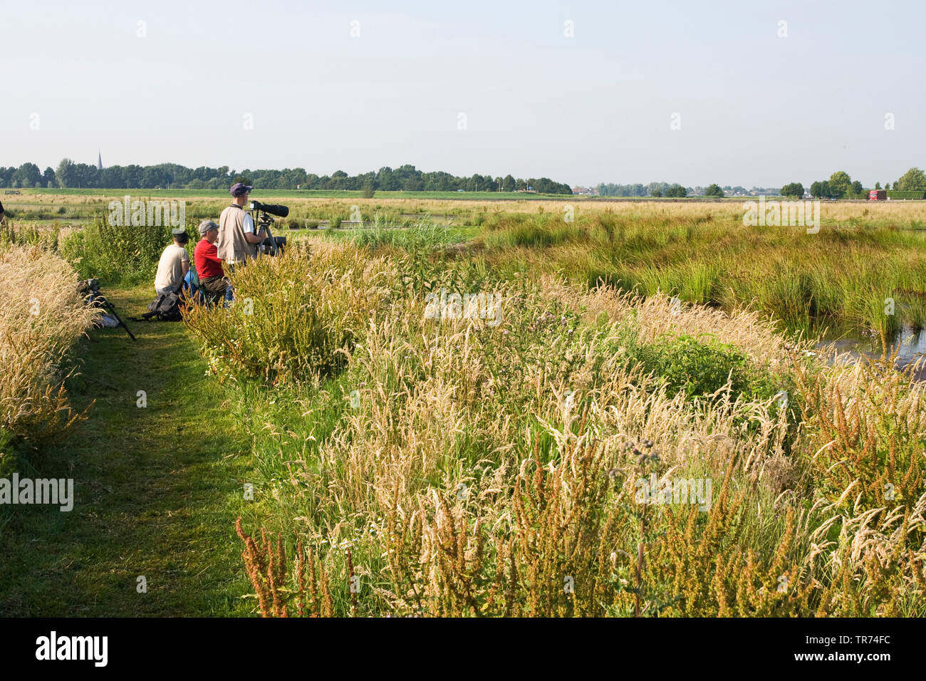 Photographe en Groene Jonker, Pays-Bas, Zevenhoven Banque D'Images