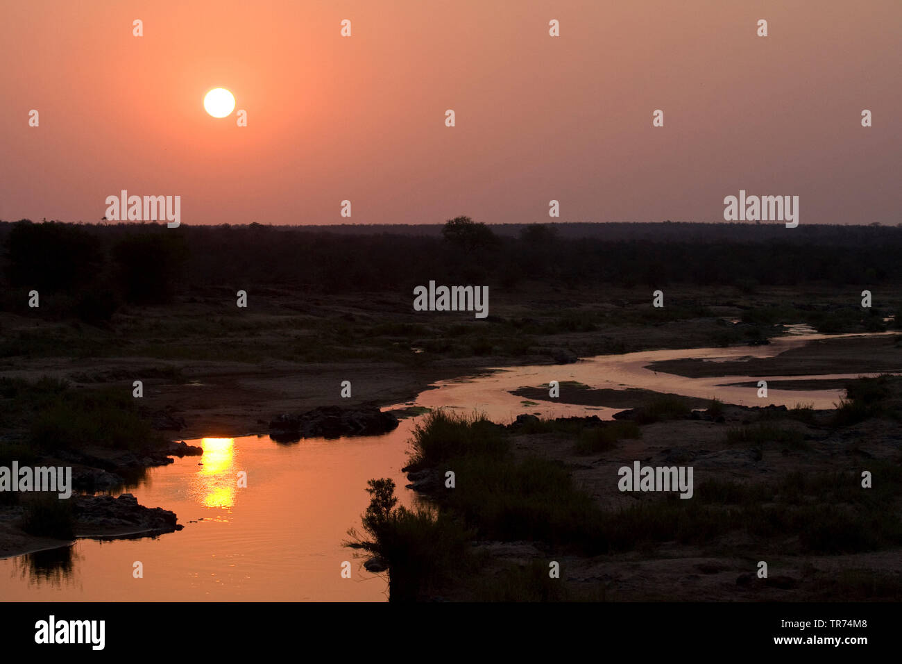 River au coucher du soleil, Afrique du Sud, le Parc national Krueger Banque D'Images