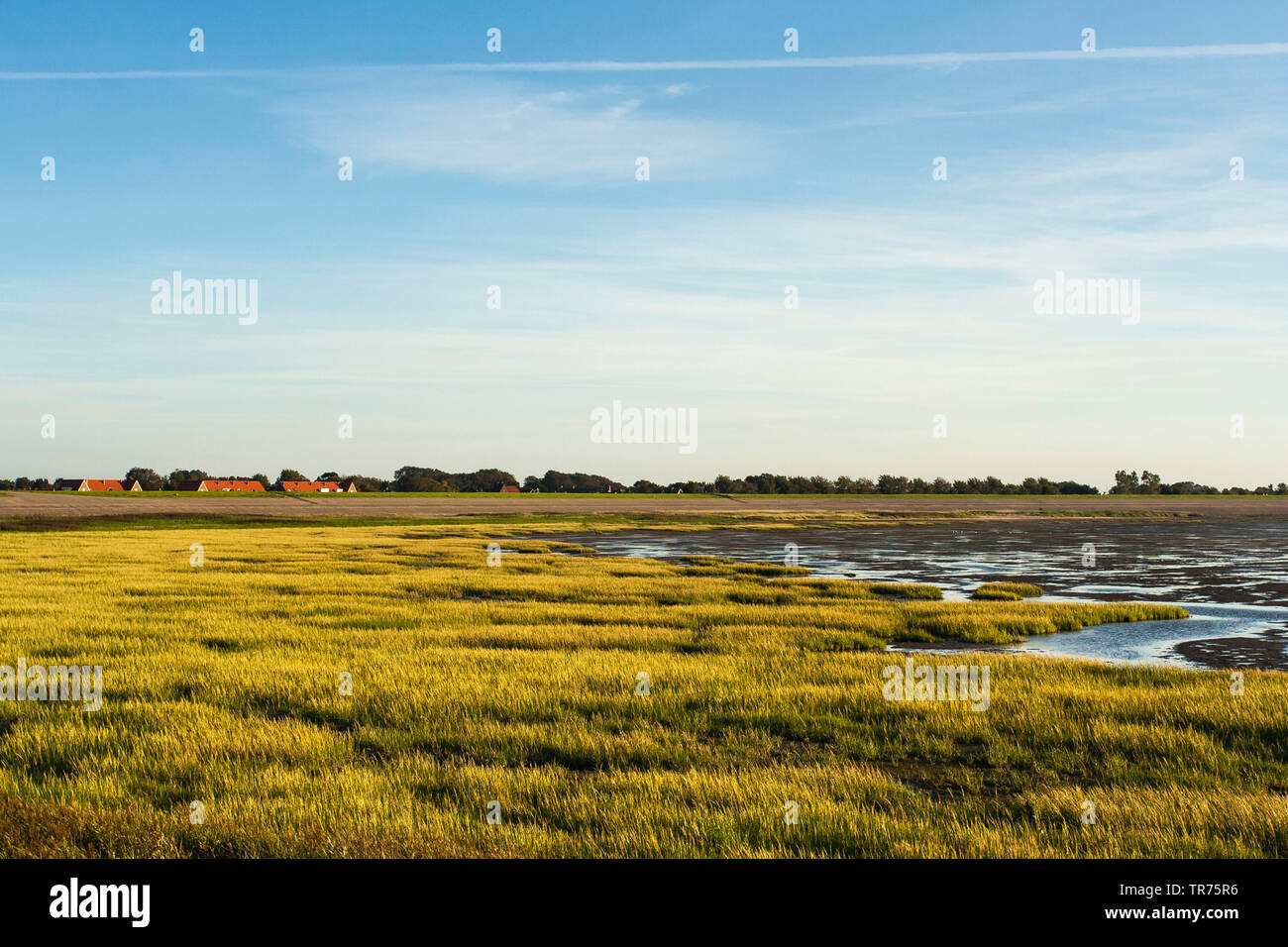 Marais de sel sur Den Oever, Pays-Bas, Pays Bas du Nord, Den Oever Banque D'Images