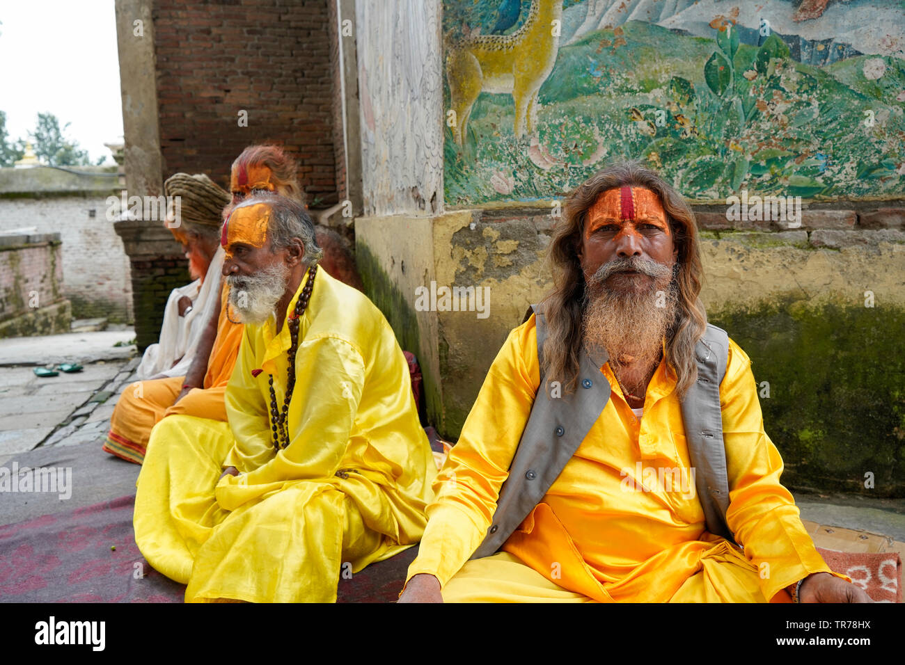 Saints hommes assis Temple Pashupatinath Kathmandou - Népal Banque D'Images