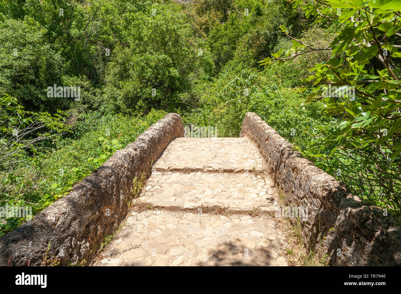 Le pont romain Pont des Tuves sur la rivière Siagne, Saint-Cezaire-sur-Siagne, Alpes-Maritim, Provence-Alpes-Côte d'Azur, France, Europe Banque D'Images
