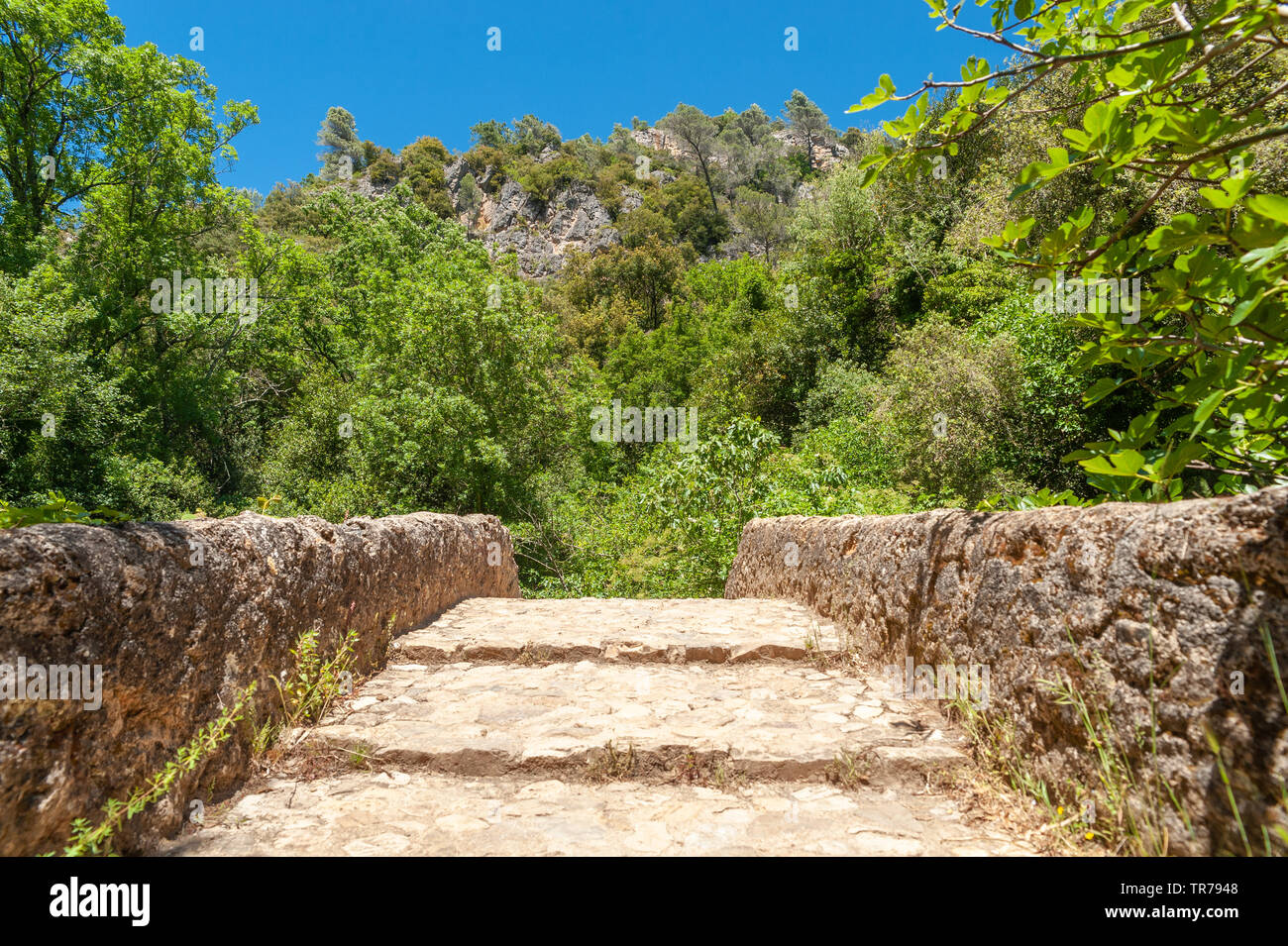 Le pont romain Pont des Tuves sur la rivière Siagne, Saint-Cezaire-sur-Siagne, Alpes-Maritim, Provence-Alpes-Côte d'Azur, France, Europe Banque D'Images