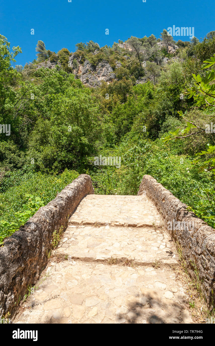 Le pont romain Pont des Tuves sur la rivière Siagne, Saint-Cezaire-sur-Siagne, Alpes-Maritim, Provence-Alpes-Côte d'Azur, France, Europe Banque D'Images