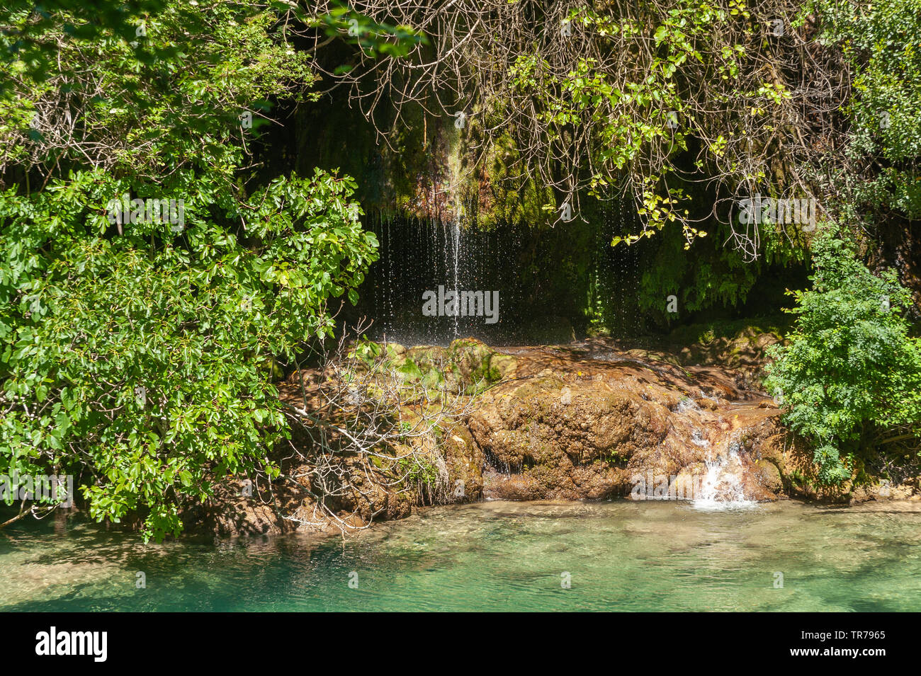 Cascade de la rivière Siagne, Saint-Cezaire-sur-Siagne, Alpes-Maritim, Provence-Alpes-Côte d'Azur, France, Europe Banque D'Images