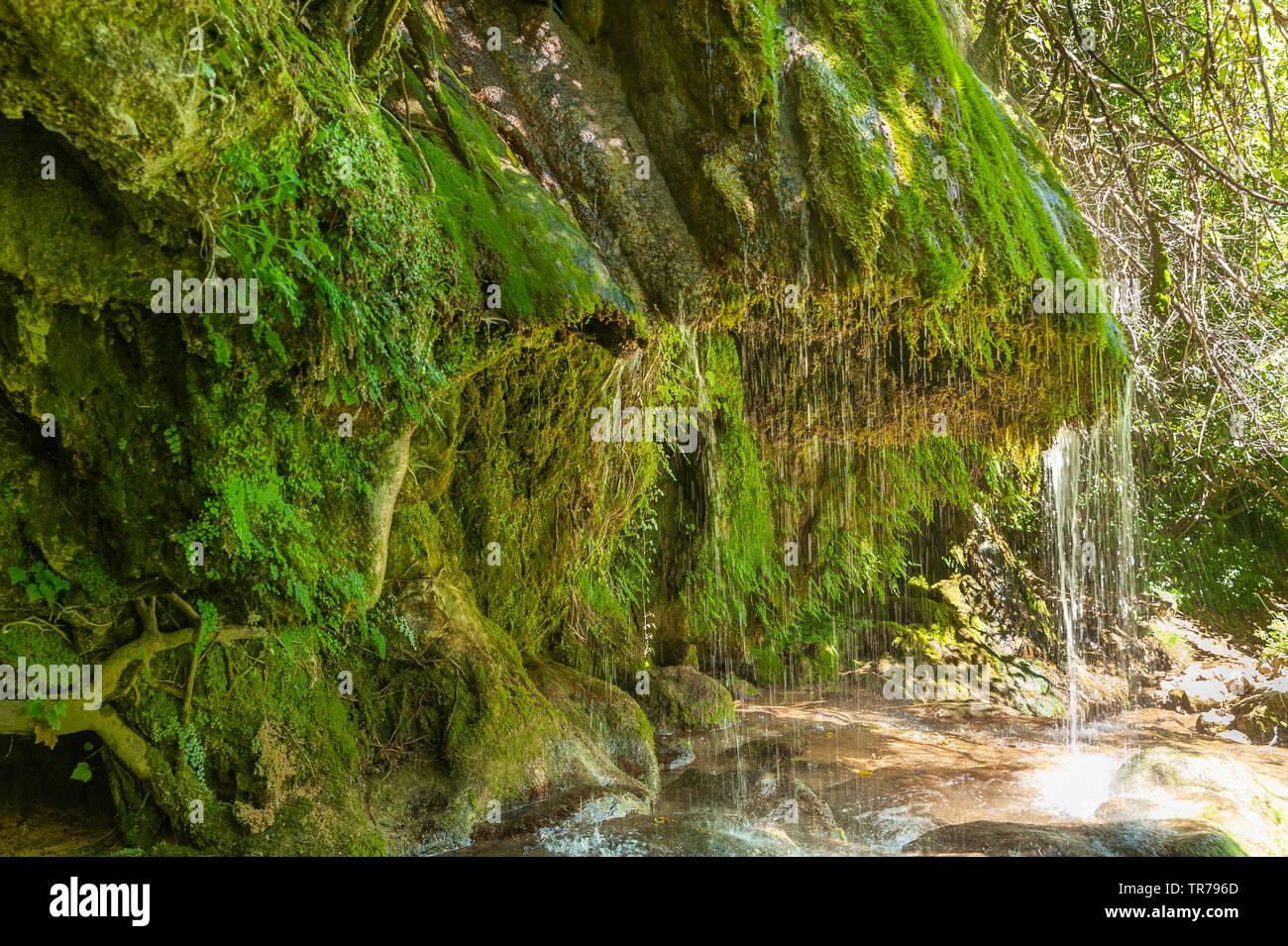 Cascade de la rivière Siagne, Saint-Cezaire-sur-Siagne, Alpes-Maritim, Provence-Alpes-Côte d'Azur, France, Europe Banque D'Images