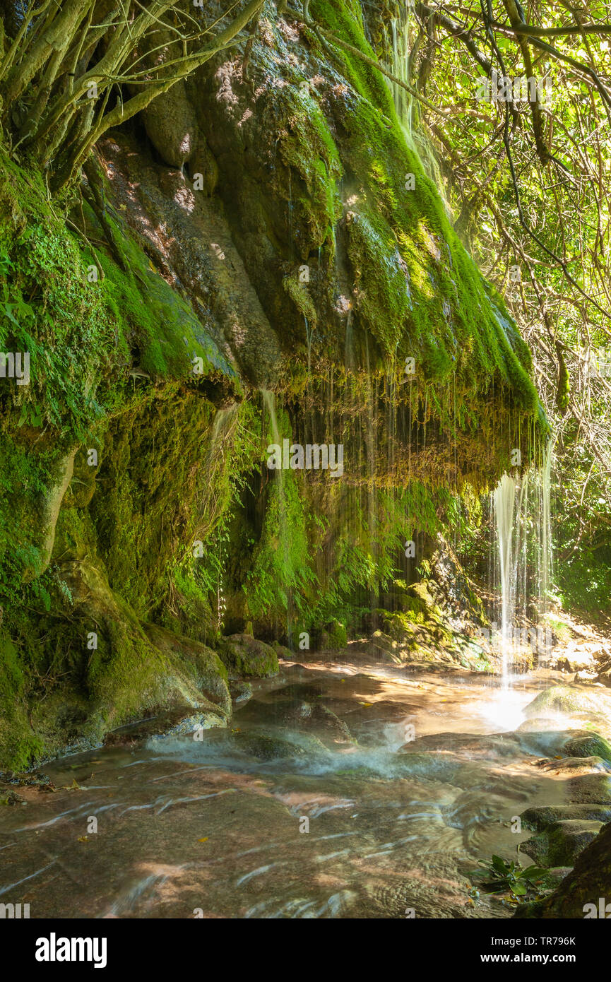 Cascade de la rivière Siagne, Saint-Cezaire-sur-Siagne, Alpes-Maritim, Provence-Alpes-Côte d'Azur, France, Europe Banque D'Images
