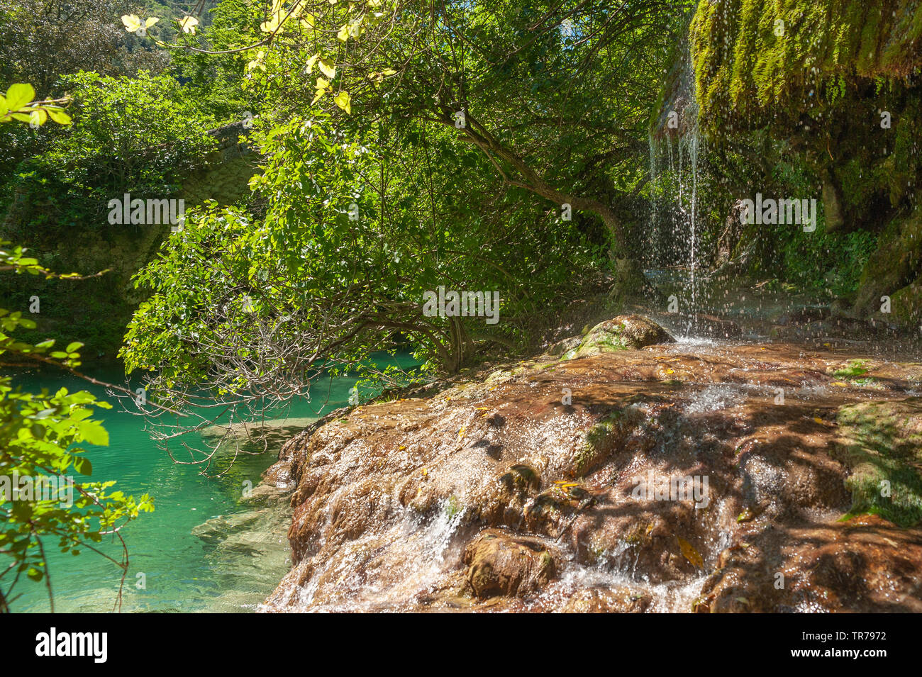 Cascade de la rivière Siagne, Saint-Cezaire-sur-Siagne, Alpes-Maritim, Provence-Alpes-Côte d'Azur, France, Europe Banque D'Images