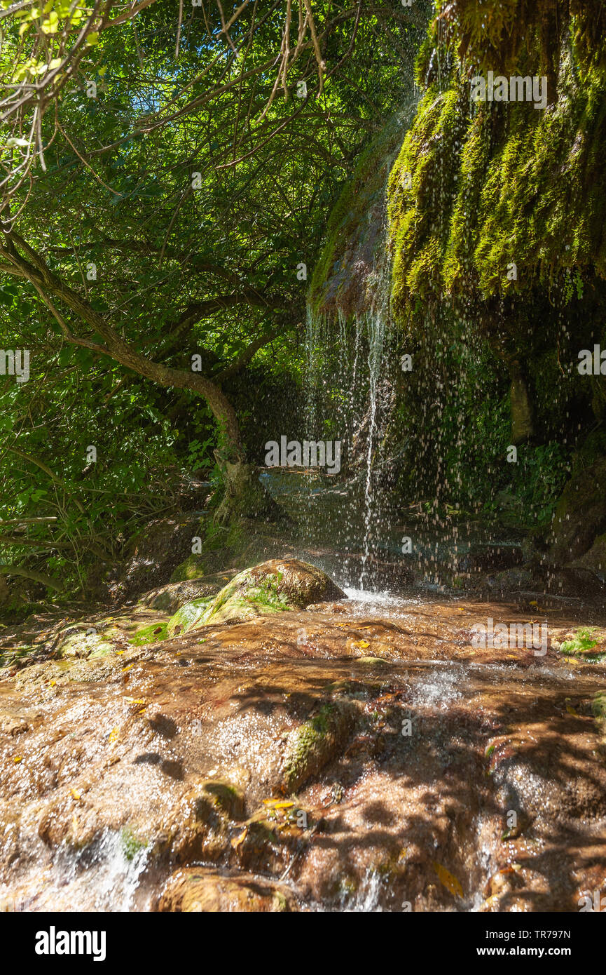 Cascade de la rivière Siagne, Saint-Cezaire-sur-Siagne, Alpes-Maritim, Provence-Alpes-Côte d'Azur, France, Europe Banque D'Images