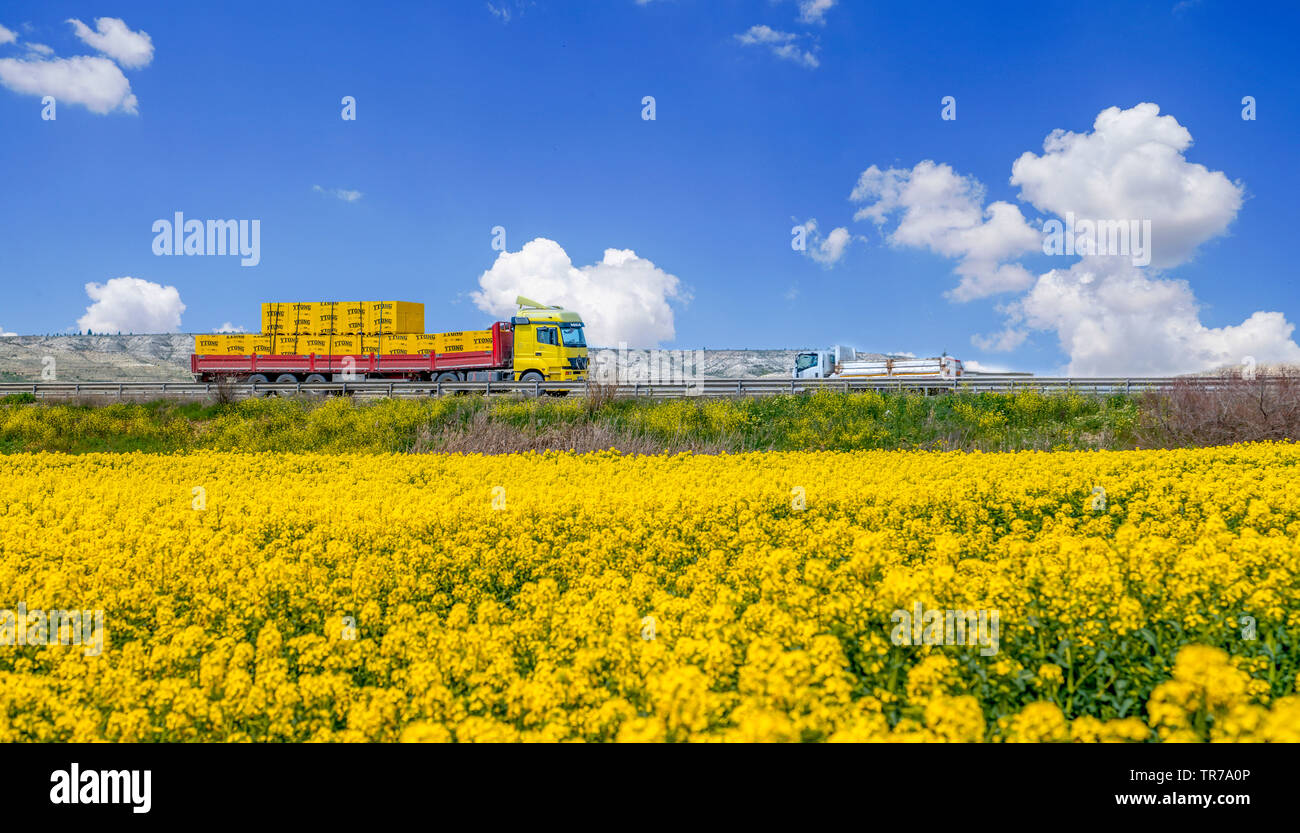 Ankara/Turkey-April 24 2019 : le jaune des champs de colza avec belle vue panoramique et une piste jaune et en arrière-plan, tes, Ankara Banque D'Images