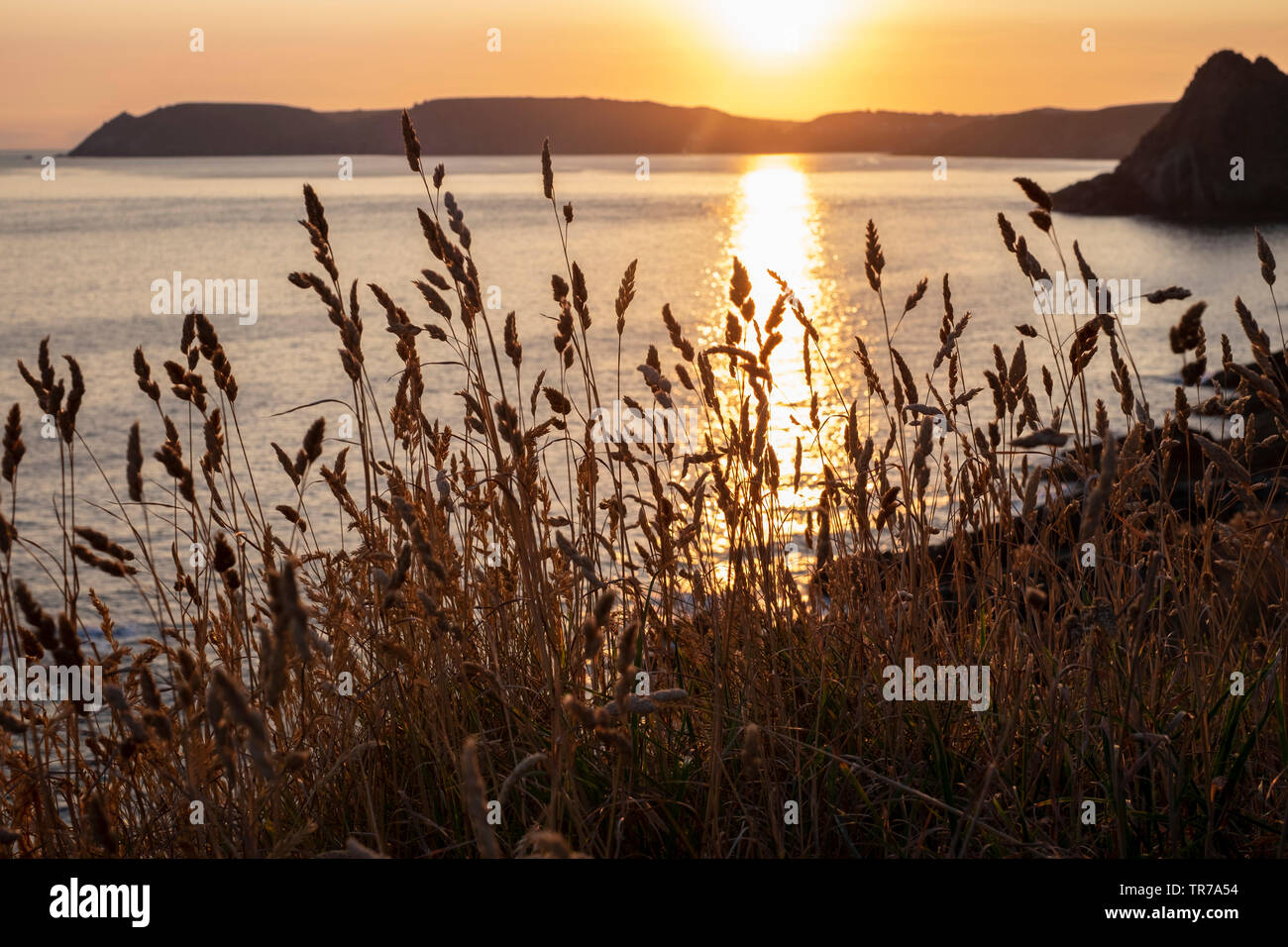 Coucher de soleil sur la tête de vis, Salcombe, Devon du sud Banque D'Images