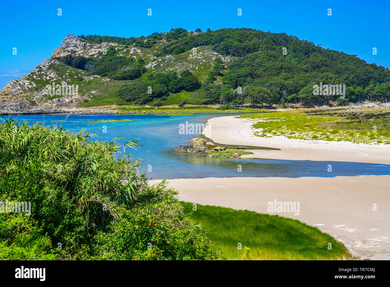 Îles cies. Îles atlantiques de Galice Parc National. Estuaire de Vigo. Rias Baixas. Pontevedra province. La Galice. Espagne Banque D'Images