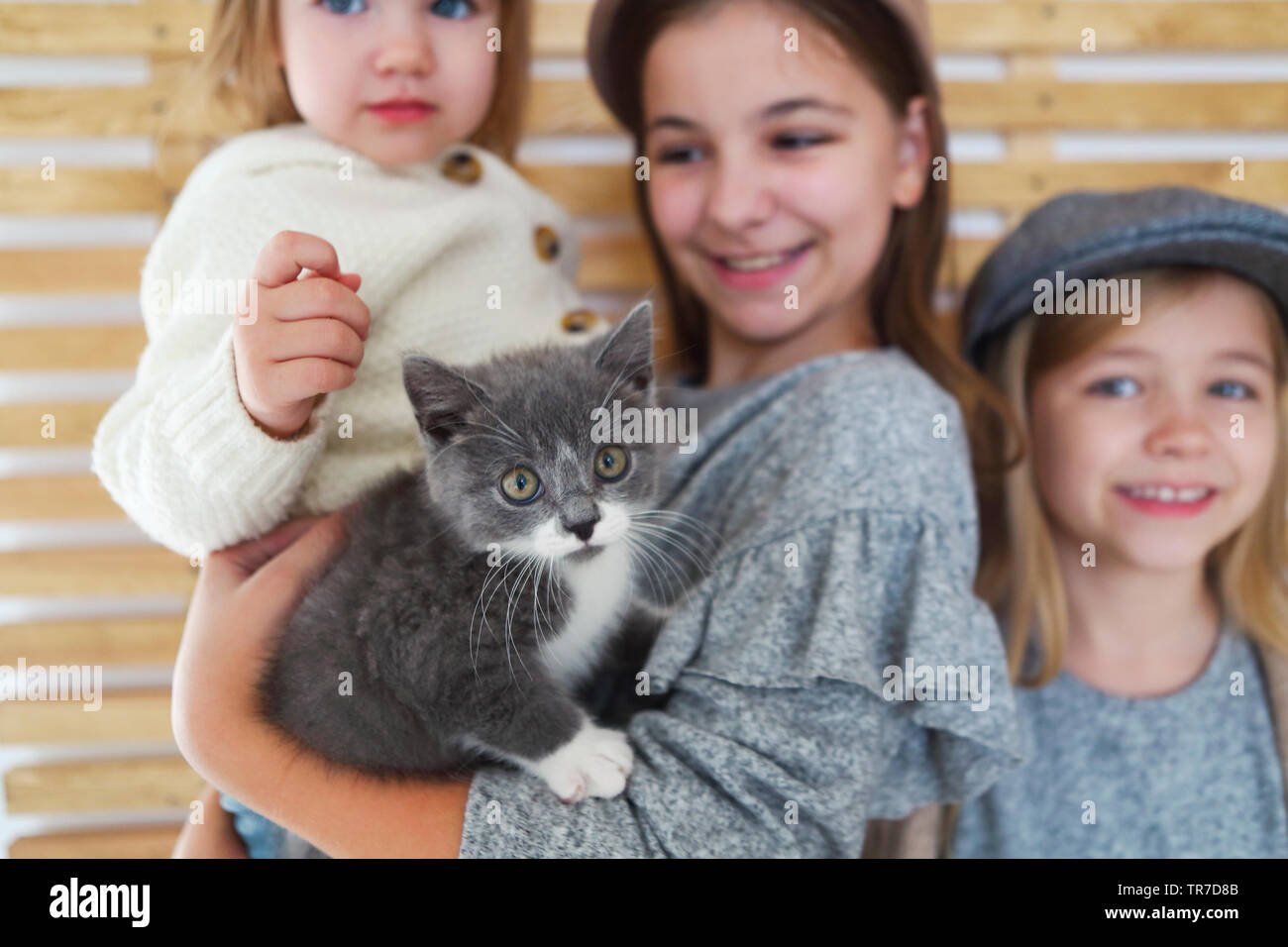 Fashion cute little girls soeurs avec un chaton dans les bras. Heureux ensemble Banque D'Images