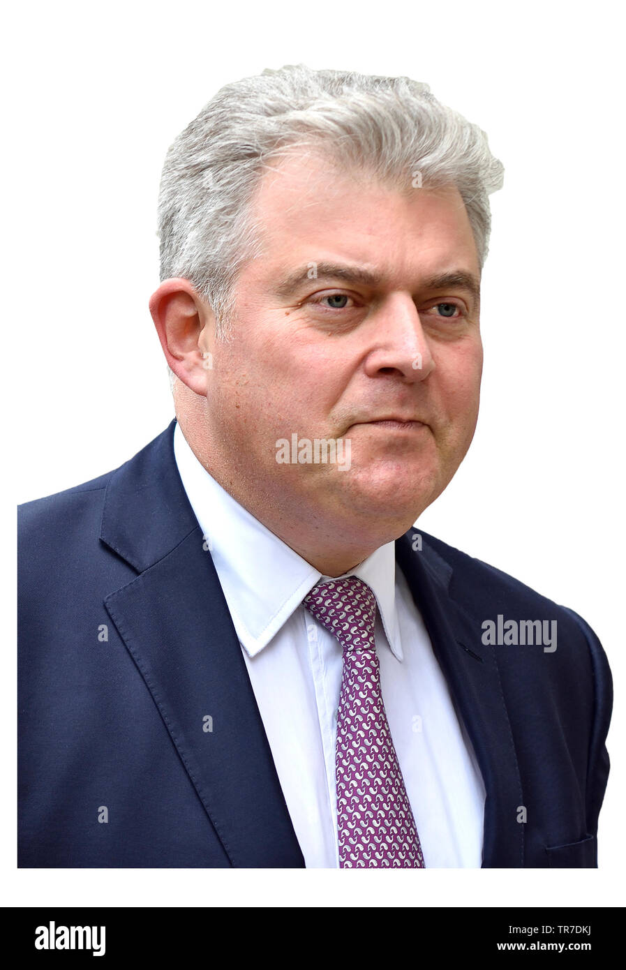 Brandon Lewis MP (Président du Parti conservateur et ministre sans portefeuille) dans la région de Whitehall, 7 mai 2019 Banque D'Images