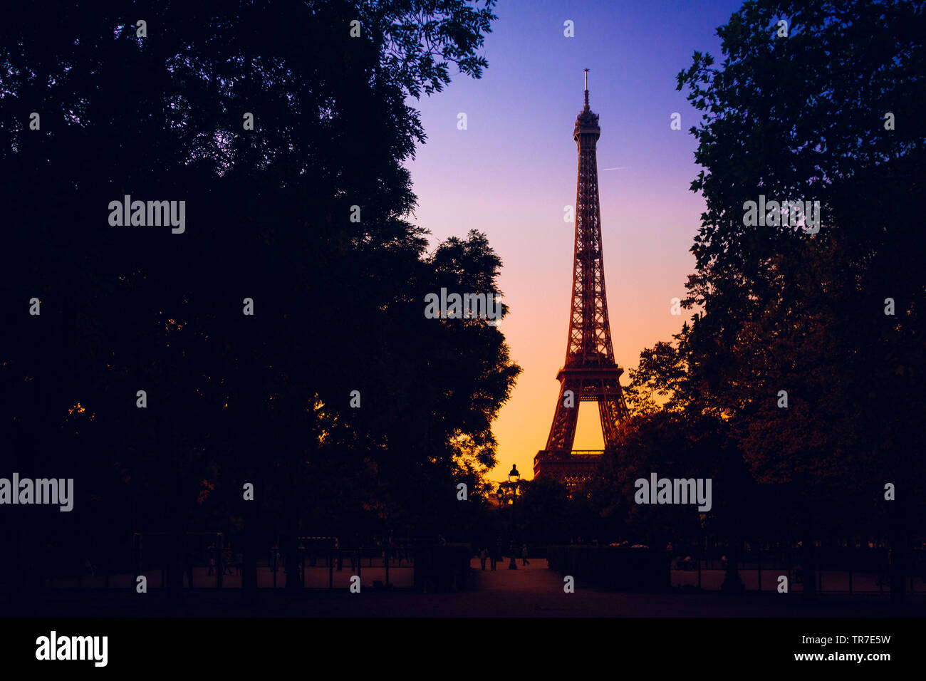 La Tour Eiffel au coucher du soleil depuis le Champ de Mars, Paris, France Banque D'Images