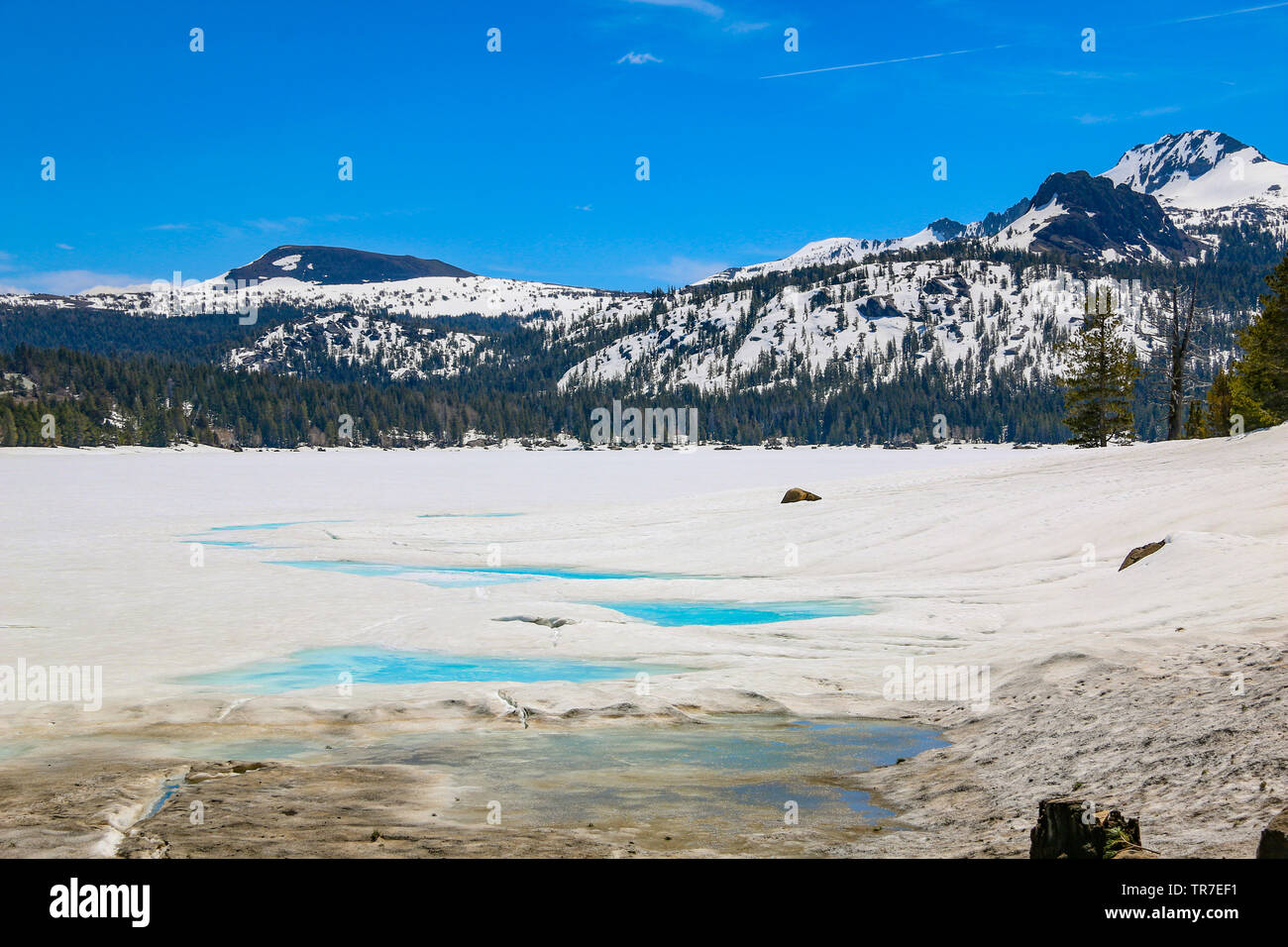 Beau lac gelé Caples, California, USA Banque D'Images