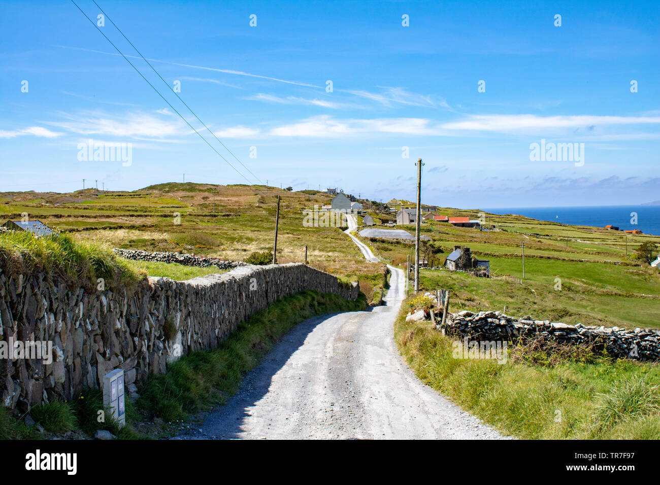 Journée d'été à Cape Clear Island West Cork Irlande. C'est la partie habitée la plus méridionale de l'Irlande et a une population de 147 personnes. Banque D'Images