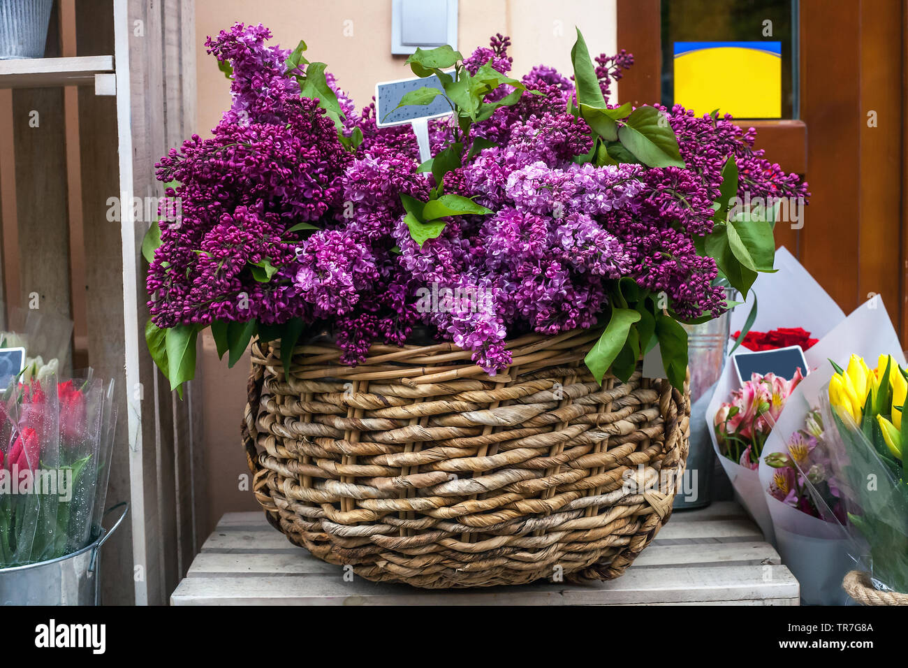 Panier en osier avec bouquet de lilas mauve. Syringa vulgaris et de tulipes  colorées en vente boutique fleurs Photo Stock - Alamy