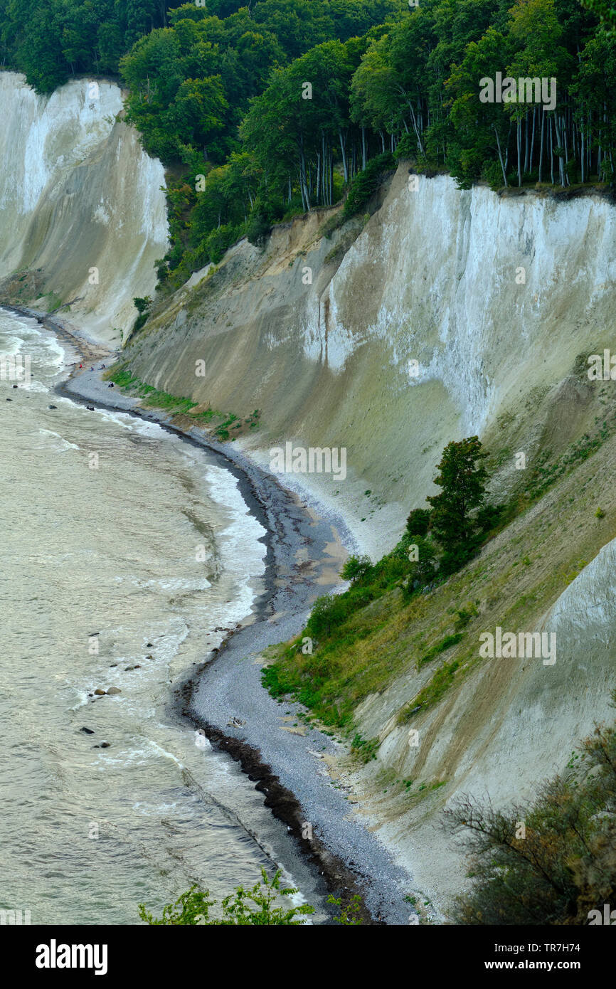Les spectaculaires falaises de craie blanche érodé le Parc National de Jasmund sur l'île allemande de Rügen, en mer Baltique de l'Allemagne. Banque D'Images
