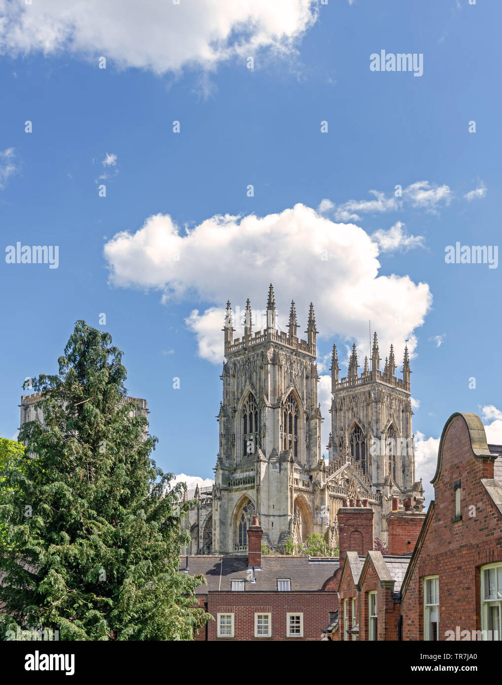 York Minster, vu de dessus de quelques toits. Un grand arbre est au premier plan et un ciel bleu avec des nuages est ci-dessus. Banque D'Images