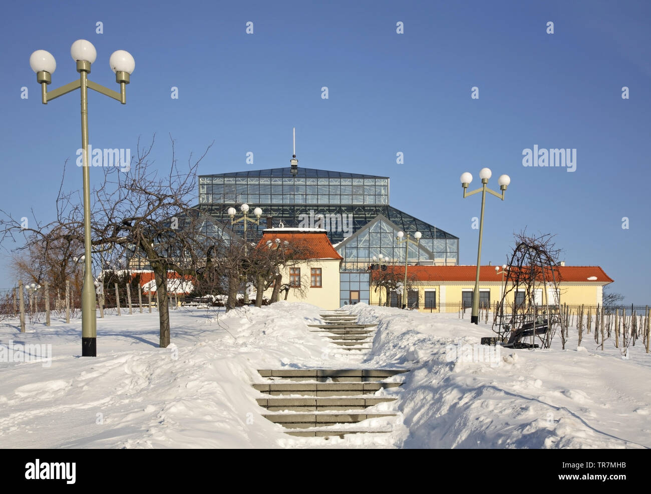 Palm House à Zielona Gora. Pologne Banque D'Images