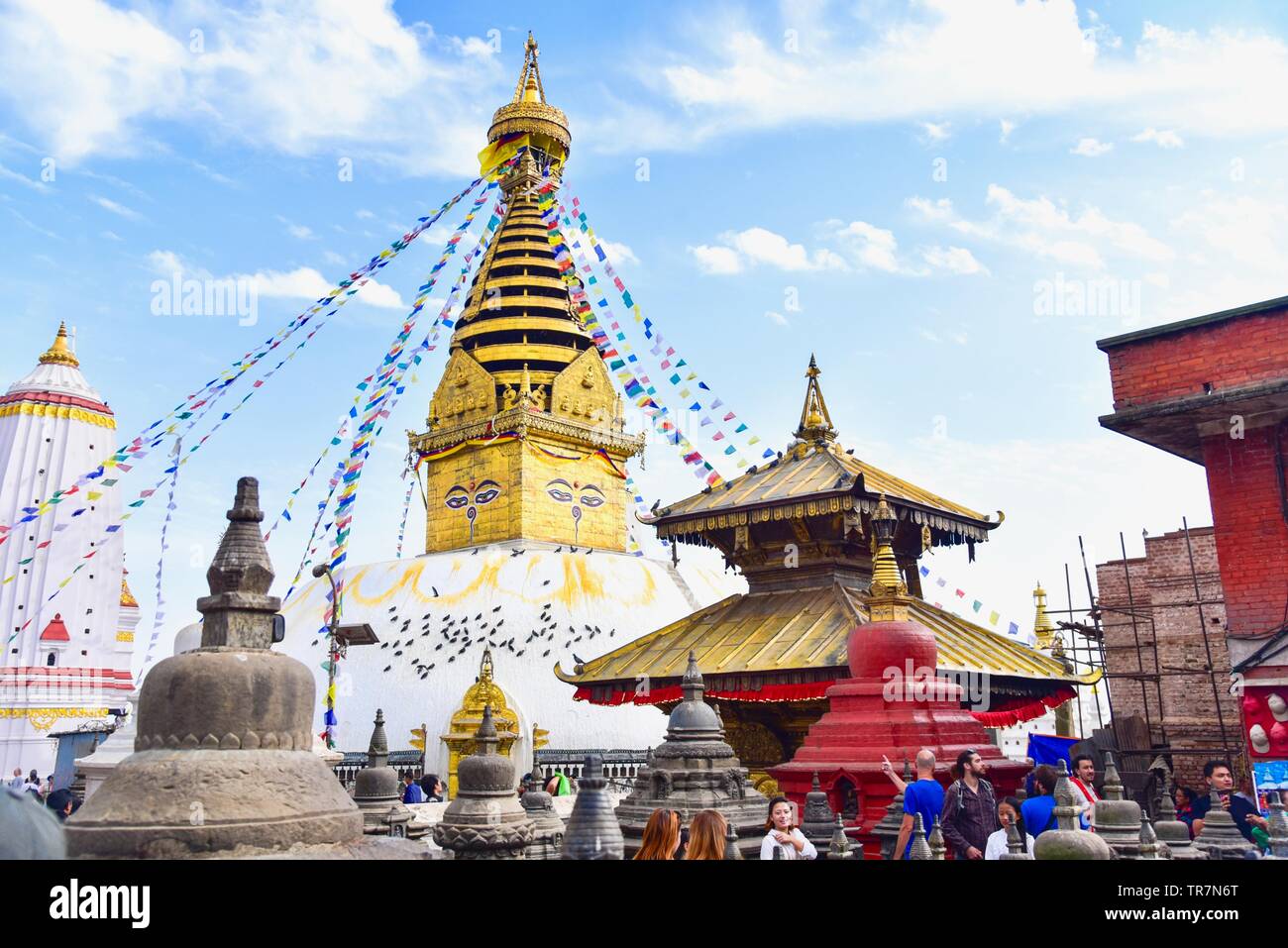 Swayambhunath Temple de singe ou dans la vallée de Katmandou, Népal Banque D'Images