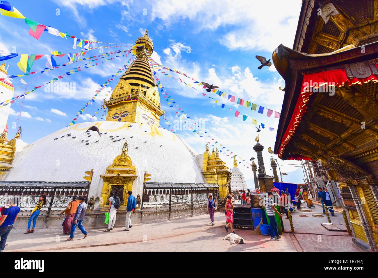 L'architecture népalaise de Swayambhunath Stupa ou Monkey Temple au Népal Banque D'Images