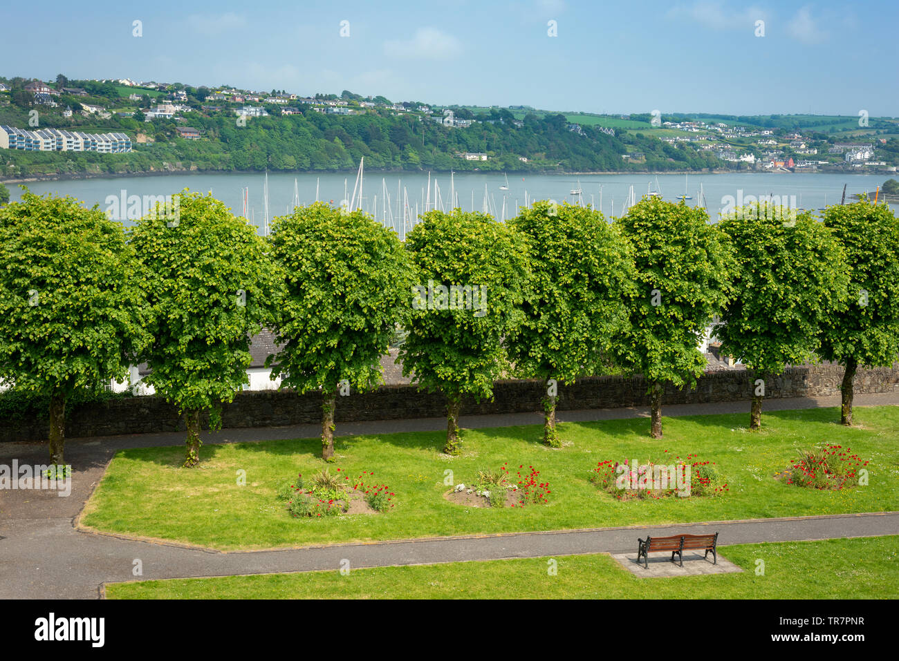 Parc Kinsale donnant sur le port, les mâts de yachts et la ville de Scilly à Kinsale, comté de Cork, Irlande Banque D'Images