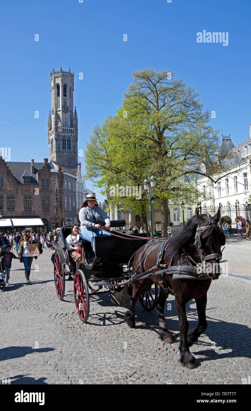 Bruges en calèche, tour de ville touristique, Belgique, Europe Banque D'Images