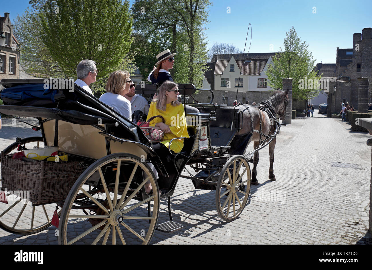 Horse and carriage, centre-ville, visite de Bruges, Belgique, Europe Banque D'Images