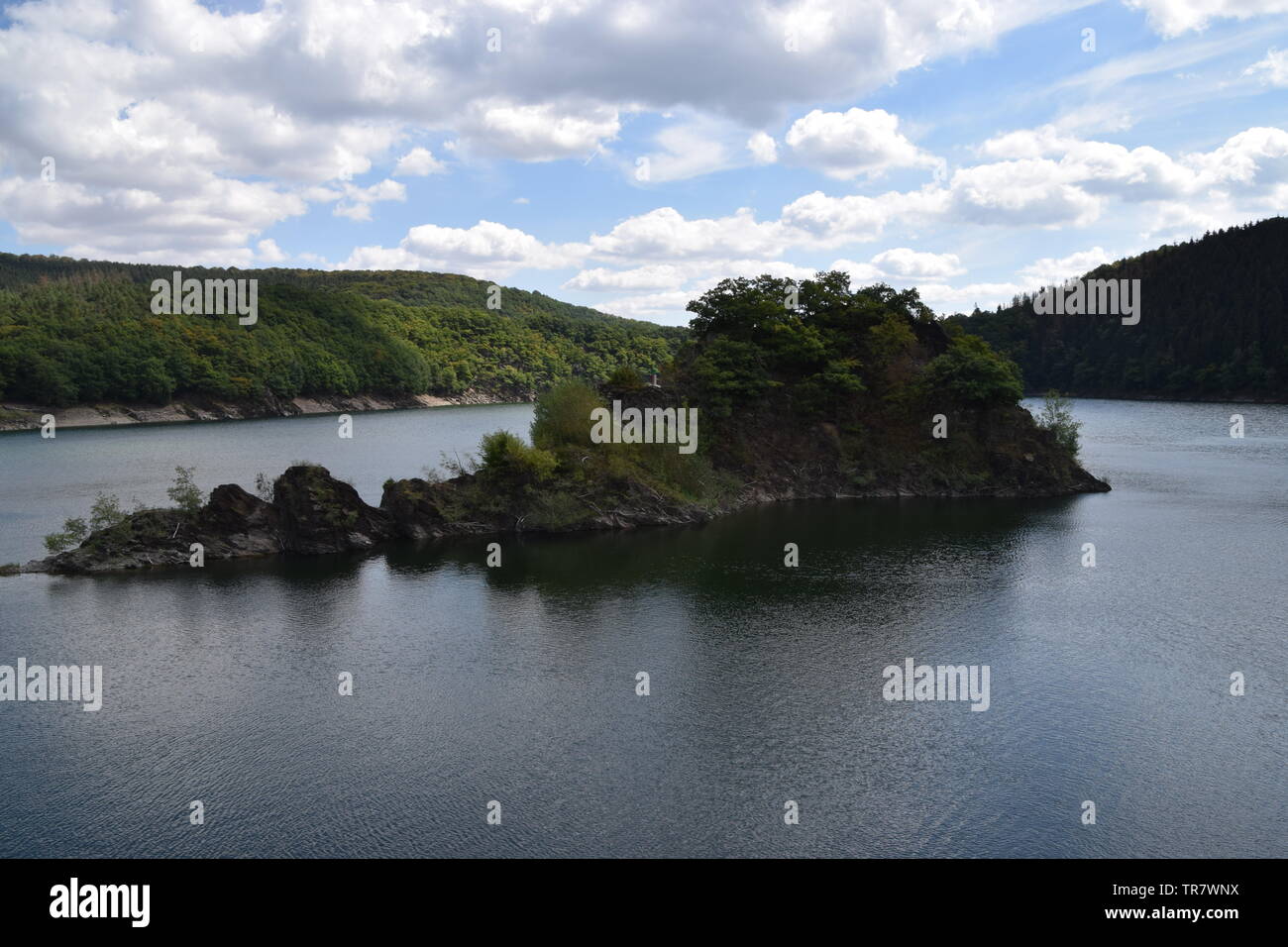 Petite île verte dans un lac Banque D'Images